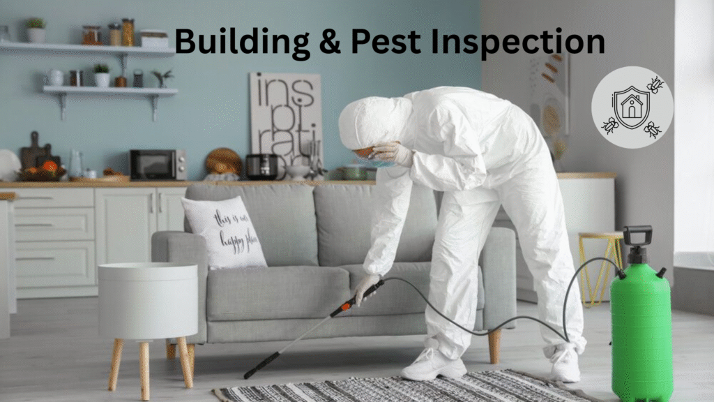 Building & Pest Inspections: Safeguard Your Home Investment 1 Building & Pest Inspection