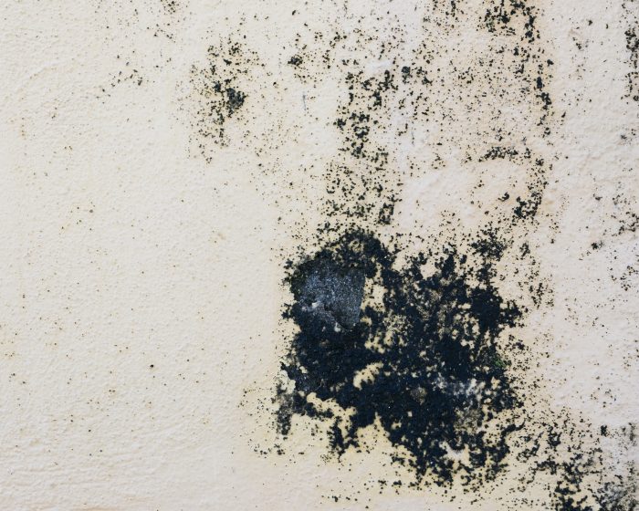 Rising Damp Inspection 1 Rough concrete wall showing stains and surface damage during property inspection